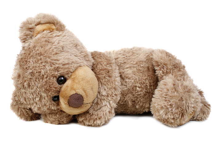 dulce oso de peluche fondo de pantalla,peluche,juguete,felpa,oso de peluche,juguete para perros