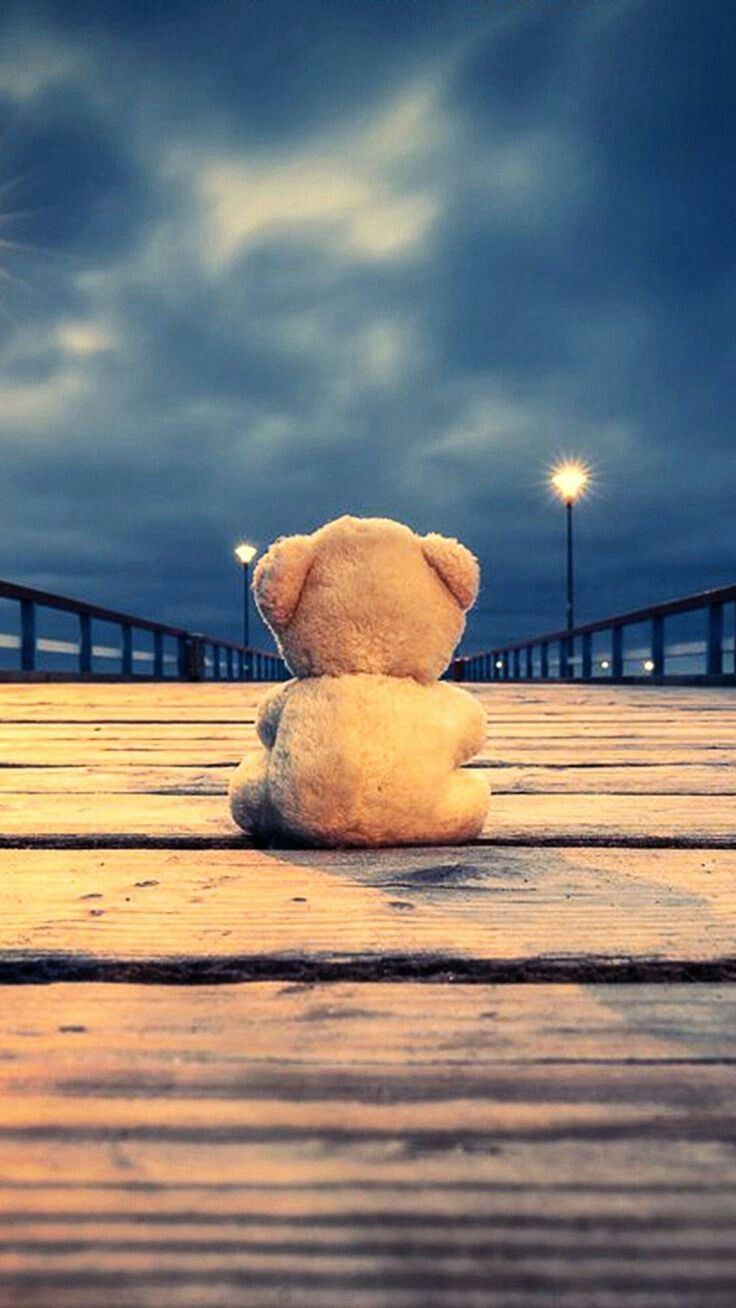 sweet teddy bear wallpaper,teddy bear,sky,horizon,cloud,rock