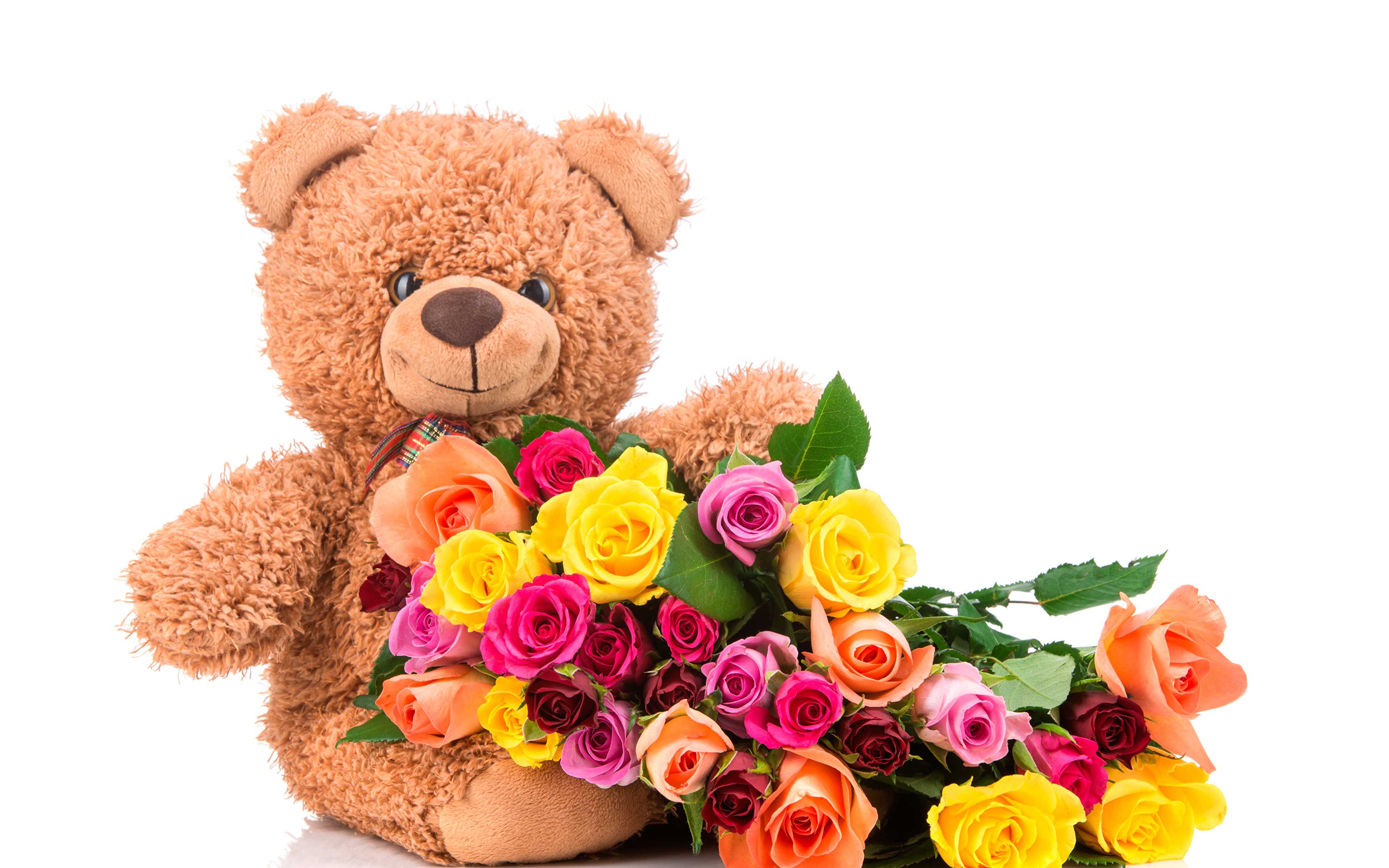 teddy bear wallpapers with flowers,teddy bear,cut flowers,bouquet,flower,toy