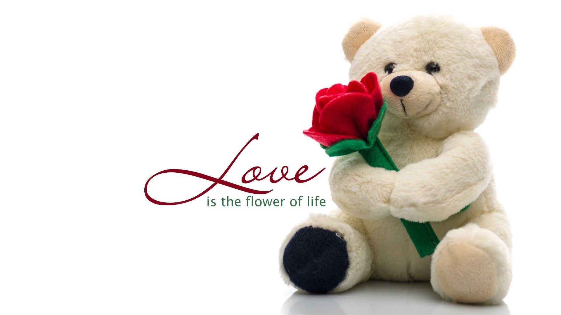 love teddy bear wallpaper,stuffed toy,teddy bear,toy,plush,bear