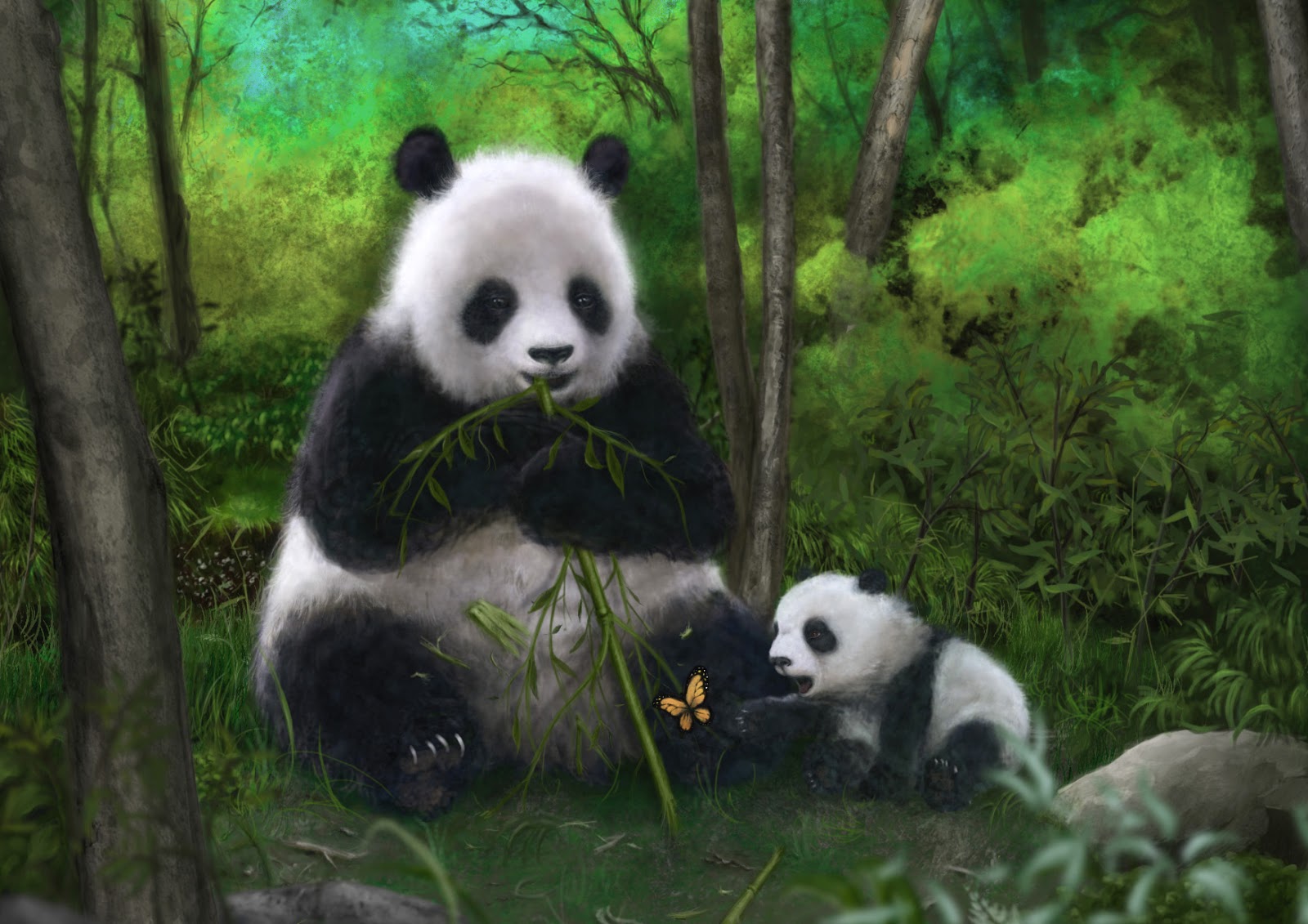 パンダのクマの壁紙,パンダ,陸生動物,自然,密林,鼻