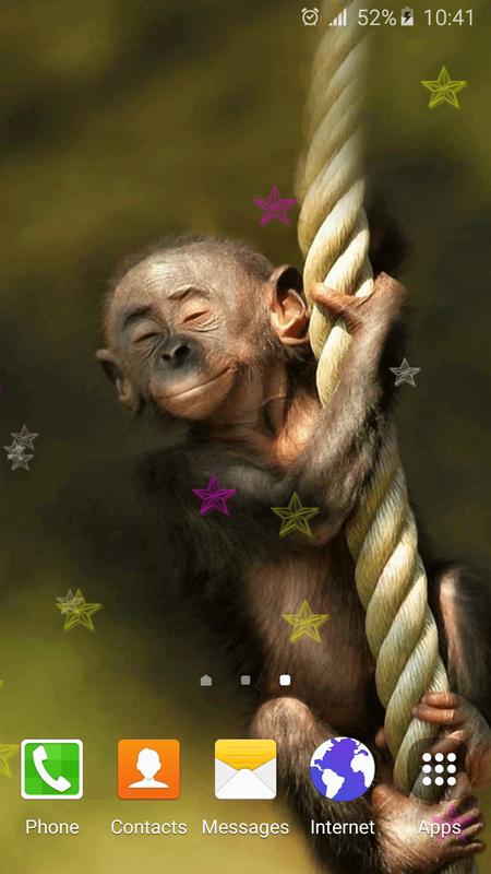원숭이 라이브 벽지,대주교,침팬지