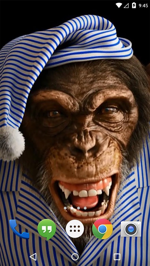 monkey live wallpaper,head,forehead,wrinkle,human,mouth