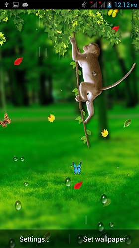 monkey live wallpaper,green,grass,water,animation,lawn