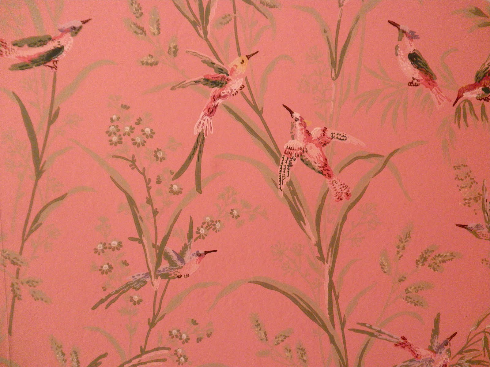 carta da parati uccello rosa,pianta,fiore,ramoscello,erba,fiore di campo