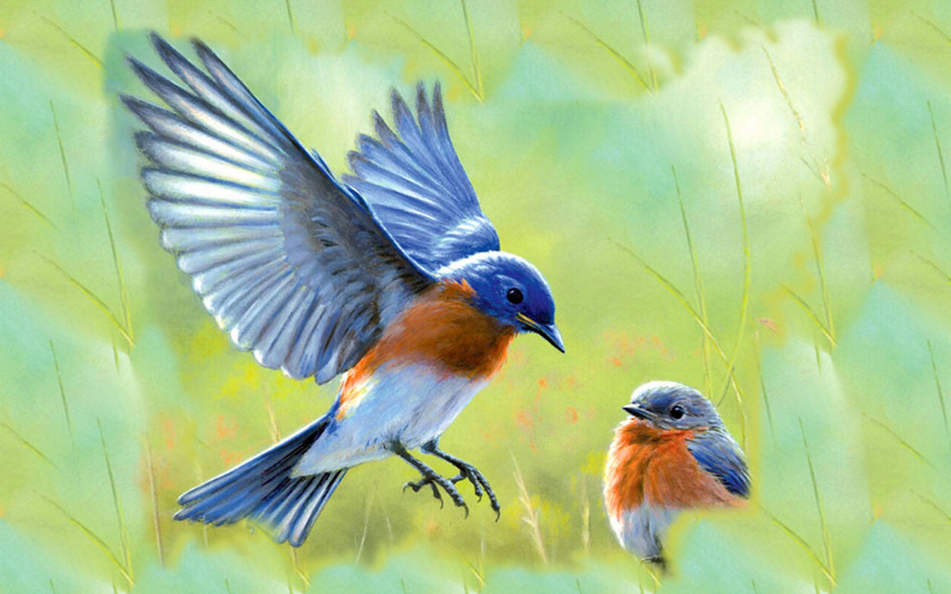 blaue vogeltapete,vogel,östliche drossel,drossel,europäisches rotkehlchen,singvogel