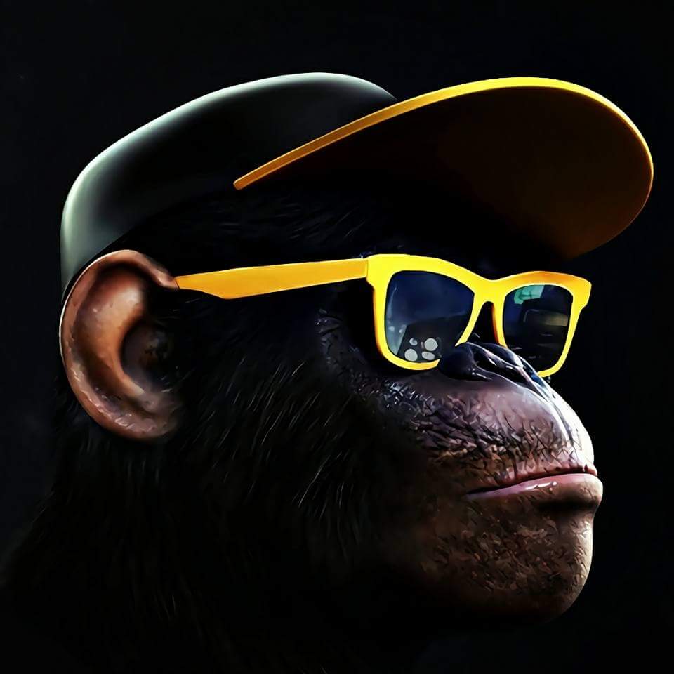 carta da parati cool scimmia,occhiali,bicchieri,freddo,occhiali da sole,grugno