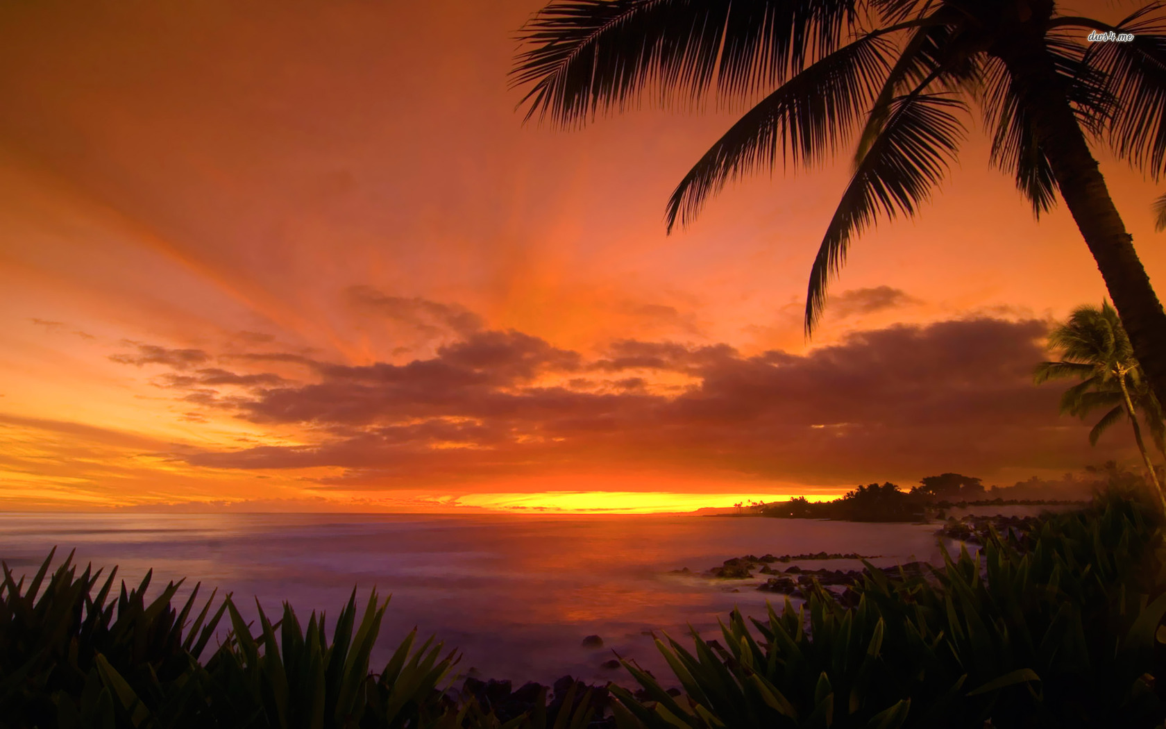 ハワイの夕日の壁紙,空,自然,残照,日没,日の出