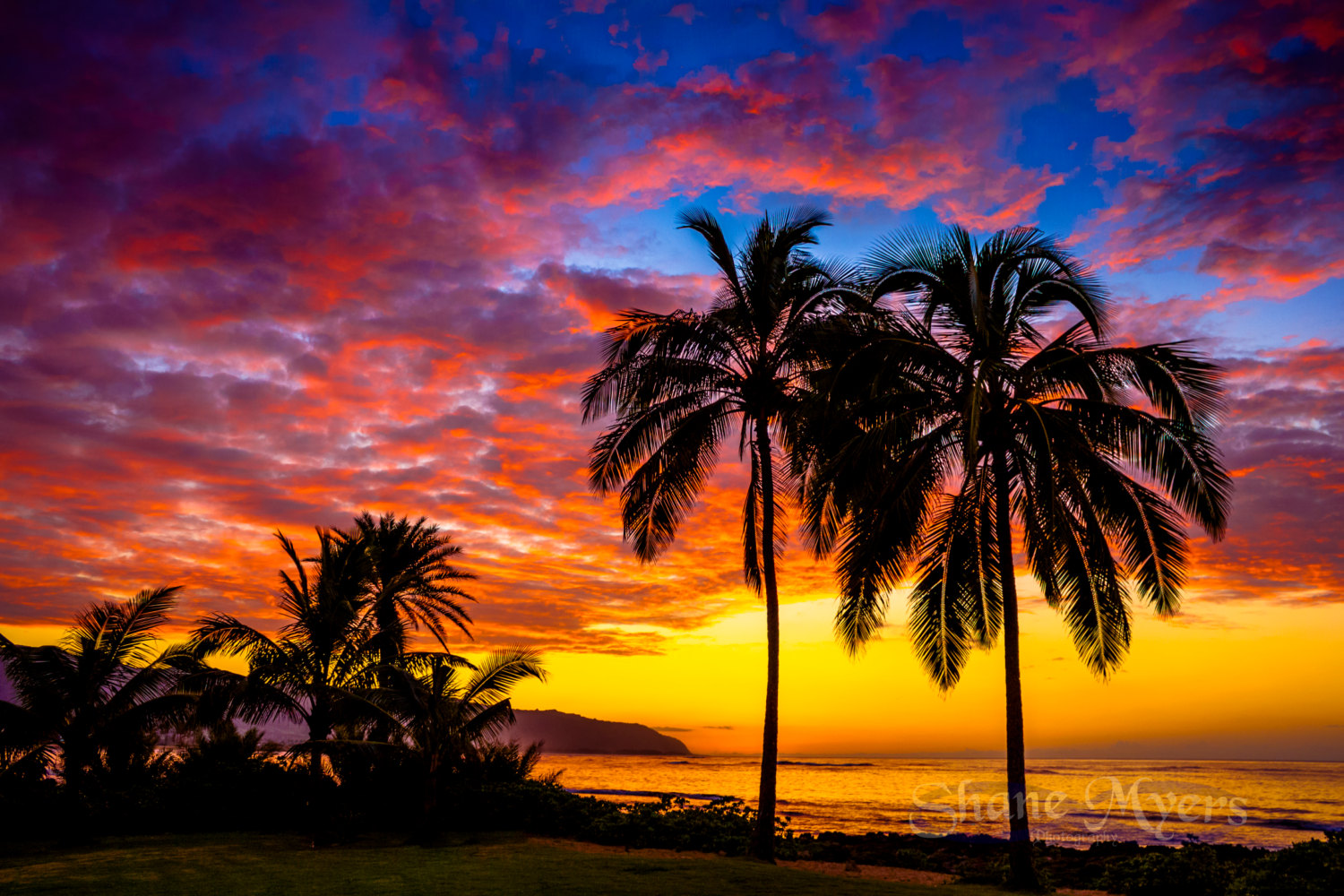 ハワイの夕日の壁紙,空,自然,木,残照,日没