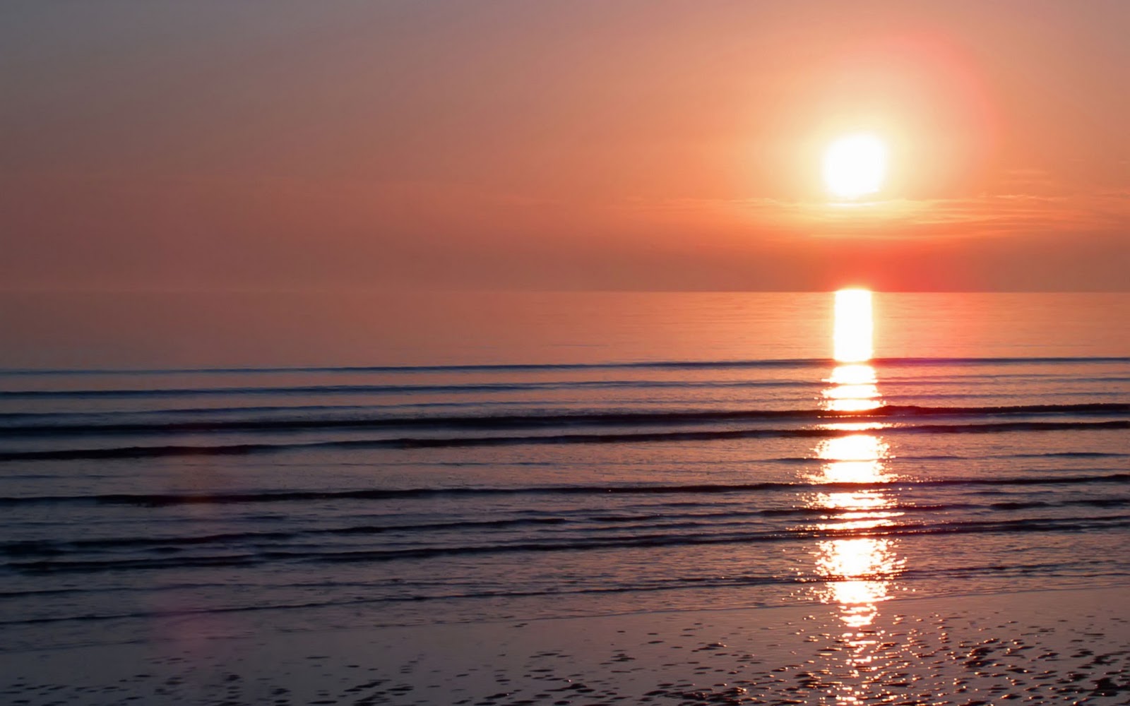 sunset desktop wallpaper,horizon,sky,body of water,sunrise,sea
