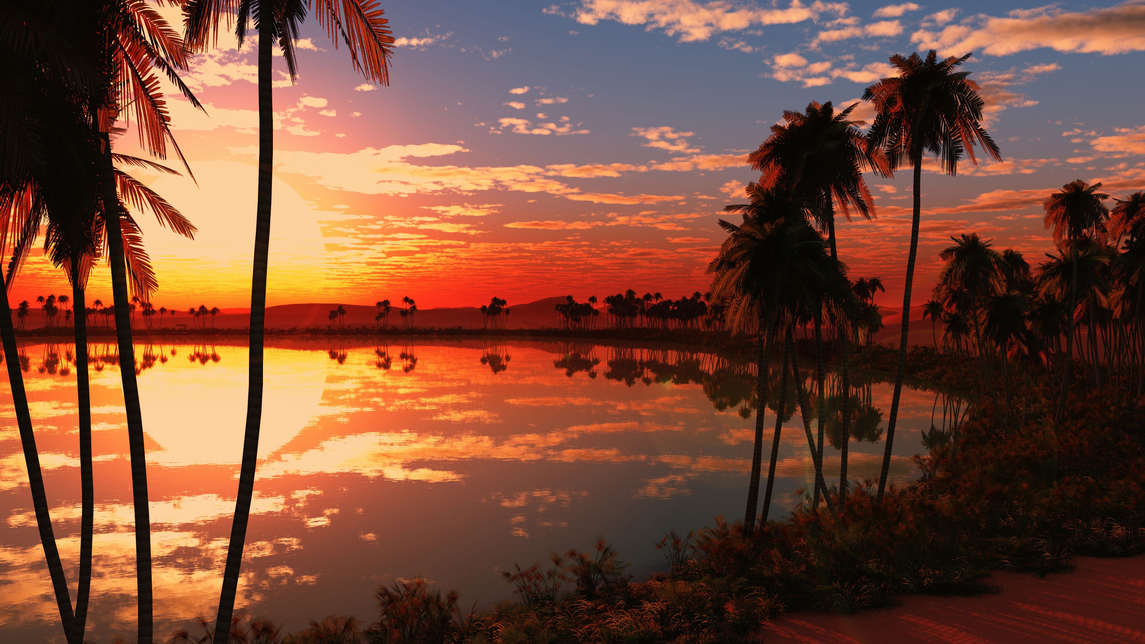 tramonto sfondo del desktop,natura,cielo,tramonto,paesaggio naturale,alba