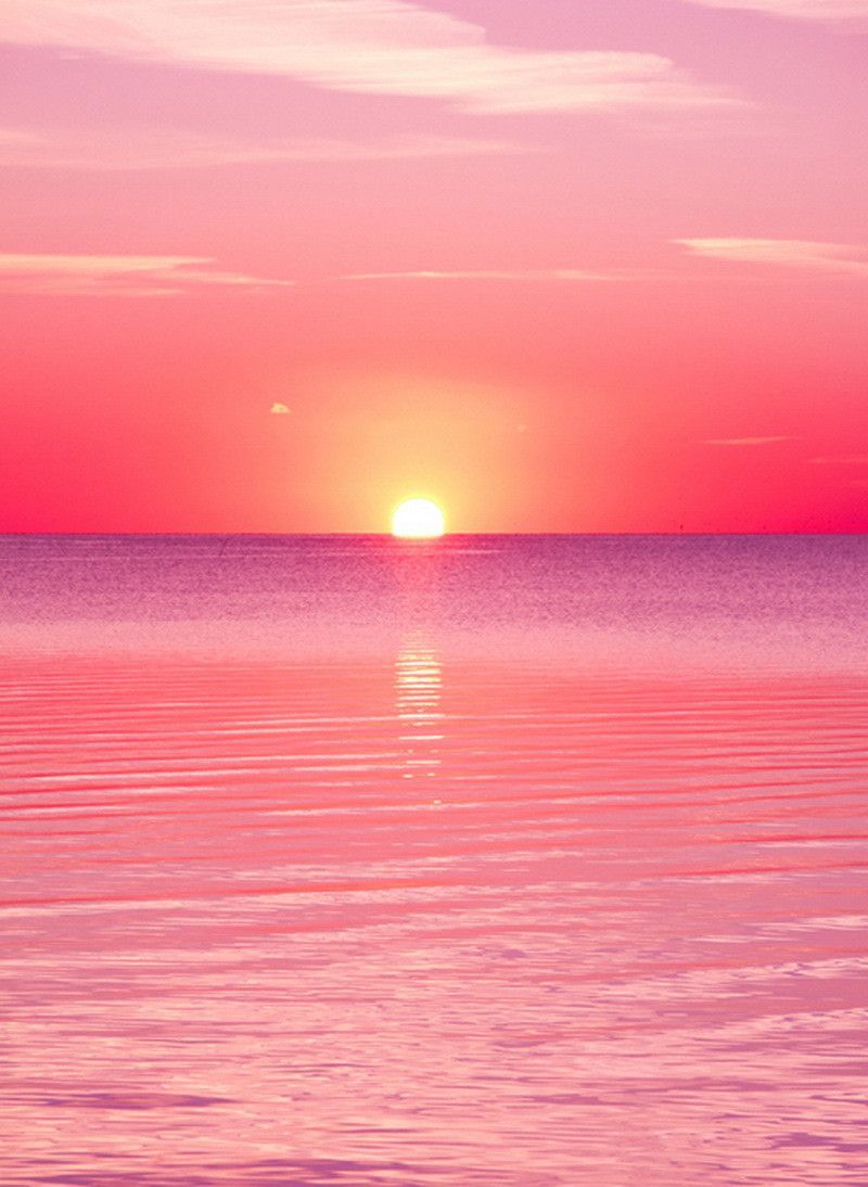pink sunset wallpaper,sky,horizon,pink,red sky at morning,sunset