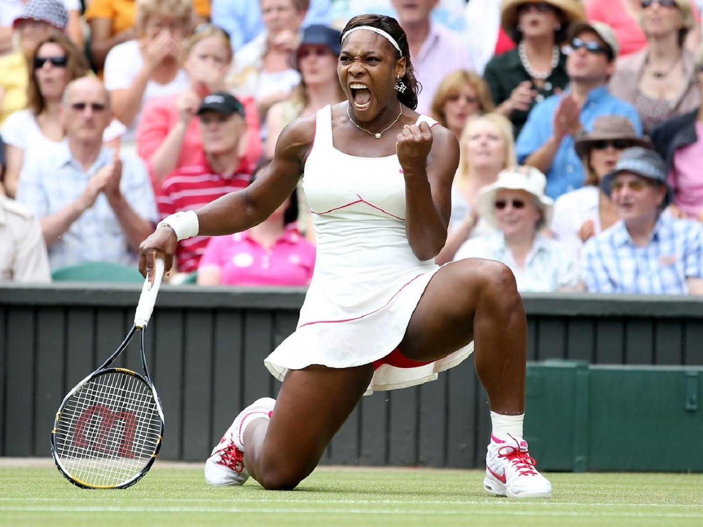 serena williams fondo de pantalla,deportes,raqueta de tenis,tenis,pista de tenis,tenis suave