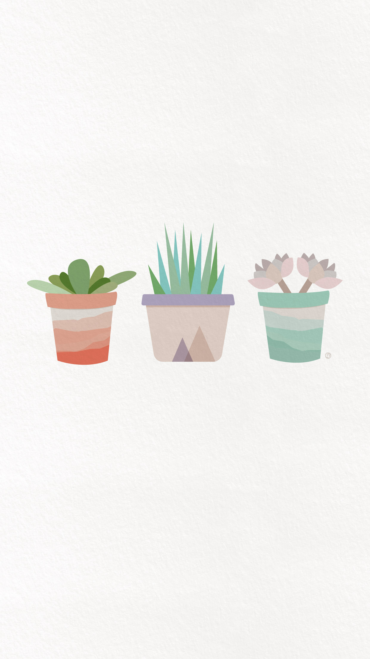 carta da parati succulente per iphone,vaso di fiori,cactus,echeveria,turchese,pianta della casa