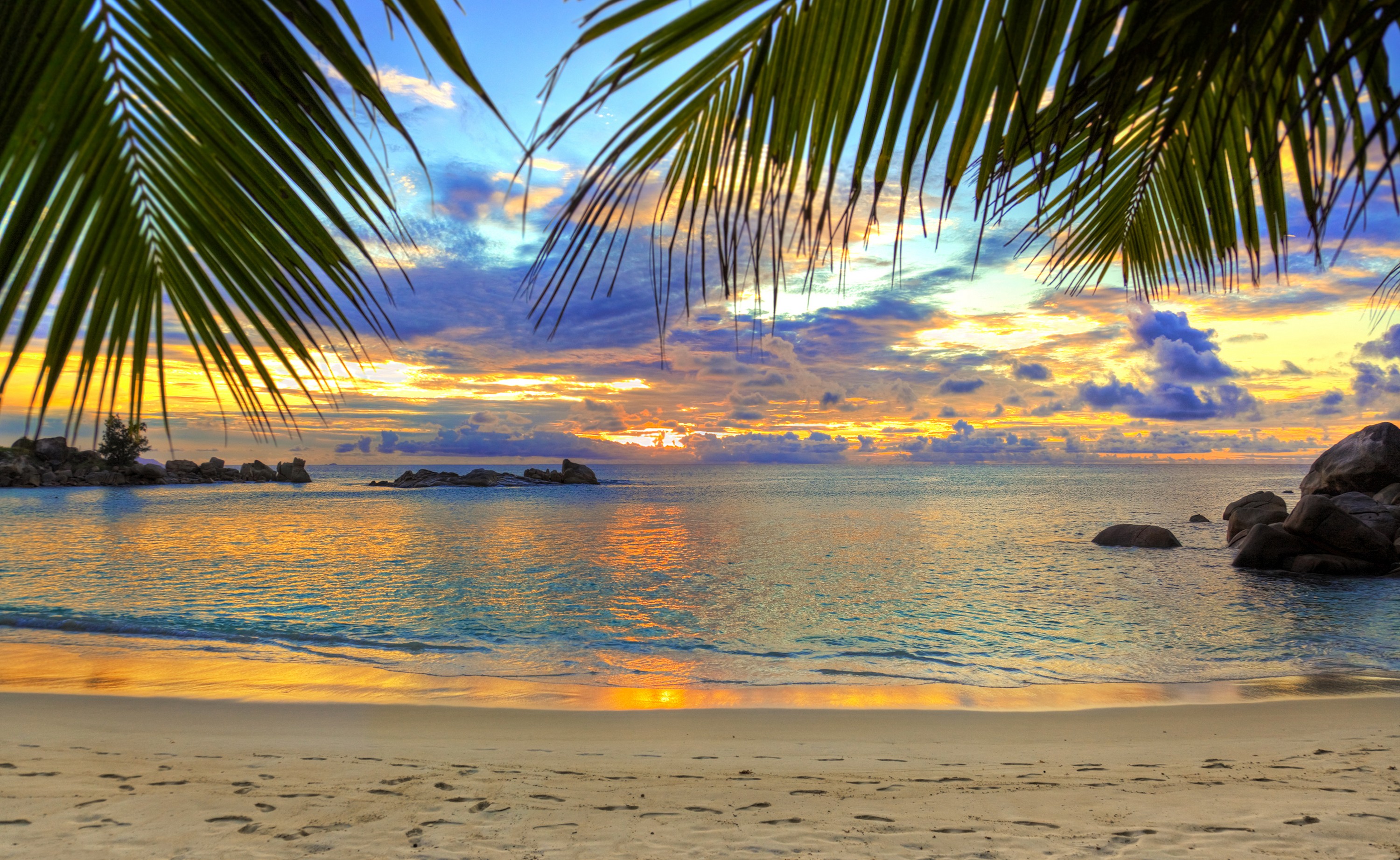 download di sfondi spiaggia,cielo,corpo d'acqua,natura,albero,orizzonte