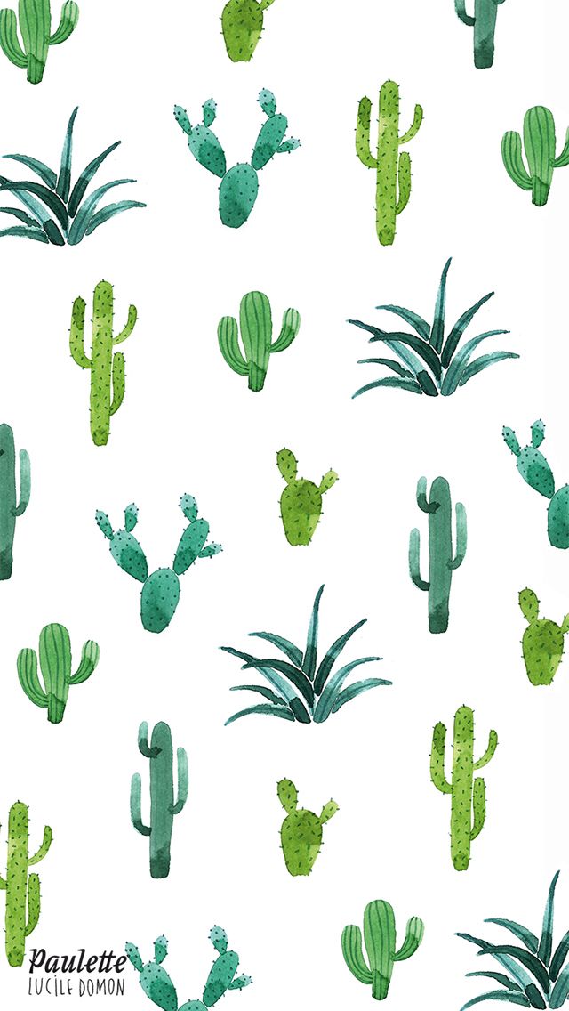 carta da parati cactus carino,verde,foglia,pianta,fiore,erba