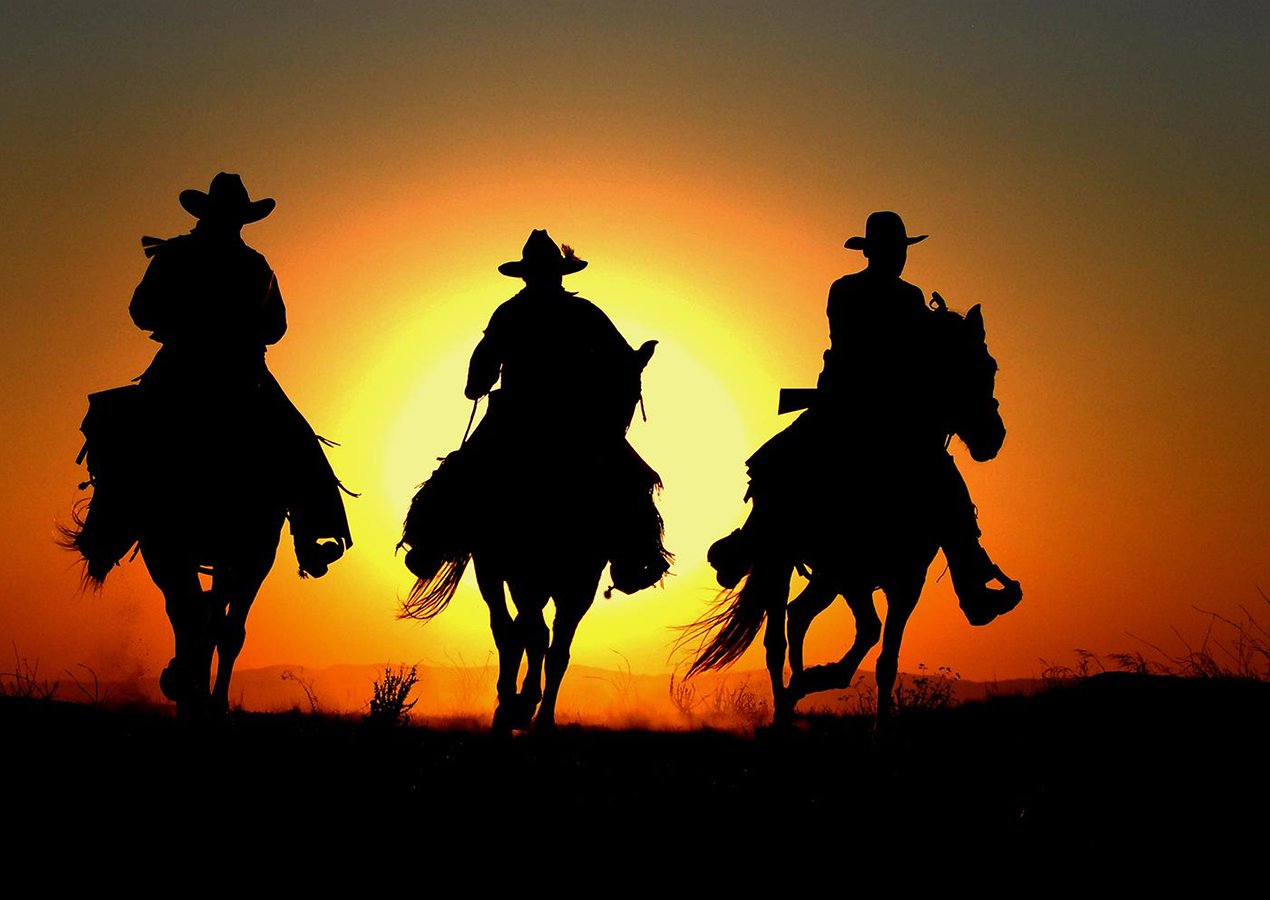 tapete cowboy,pferd,silhouette,himmel,hengst