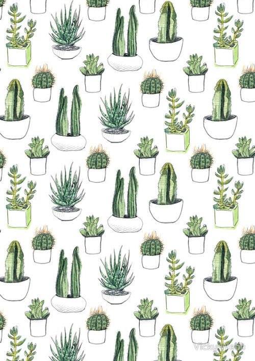 cactus wallpaper tumblr,green,plant,botany,grass,grass family