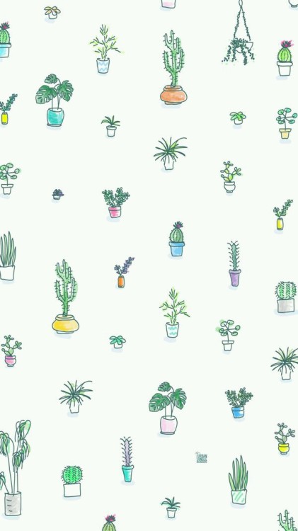 선인장 배경 tumblr,초록,무늬,식물