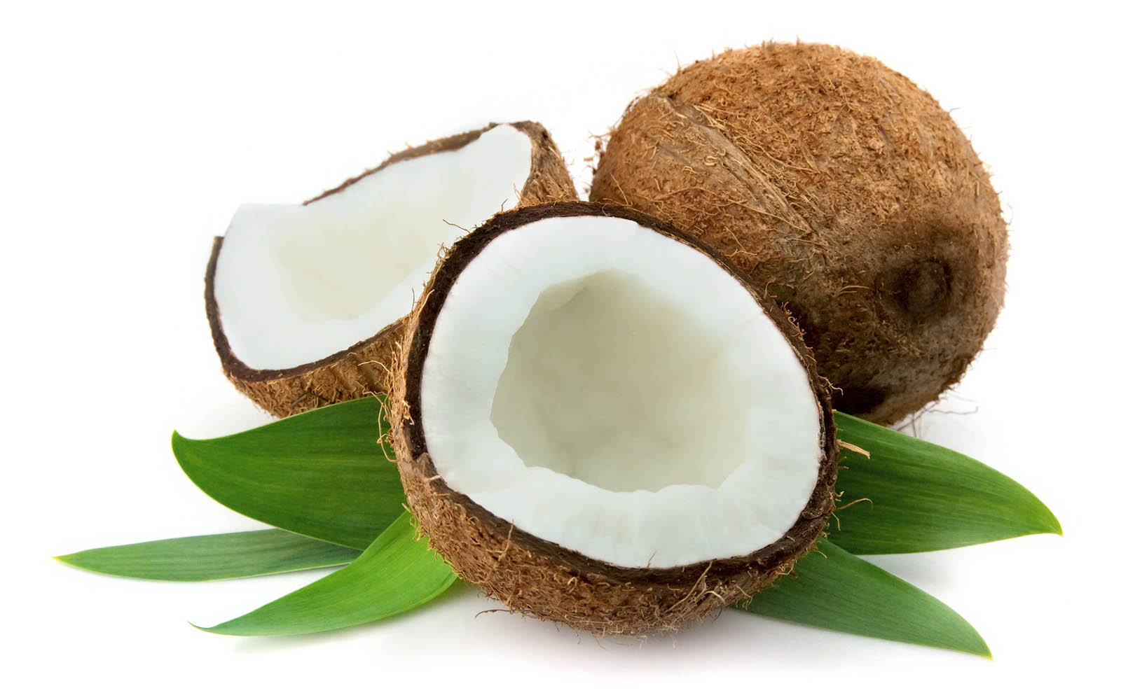 coconut wallpaper,coconut,coconut water,food,plant,ingredient