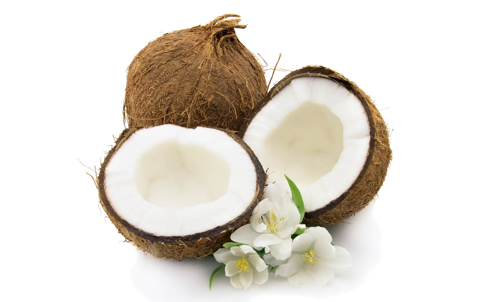 coconut wallpaper,coconut,coconut water,juice,tree,plant