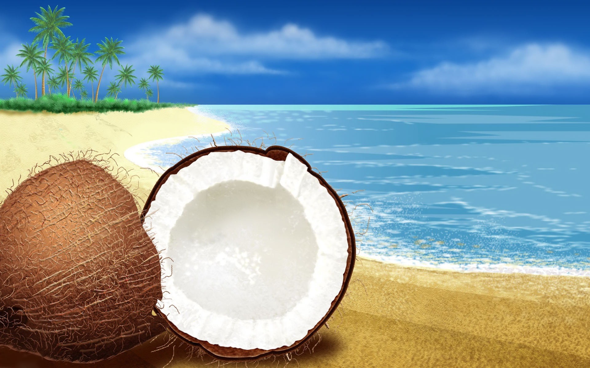 papier peint de noix de coco,ciel,été,mer,paysage,vacances