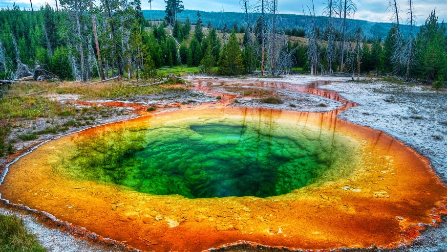 papel pintado de yellowstone,naturaleza,paisaje natural,recursos hídricos,primavera calurosa,parque nacional