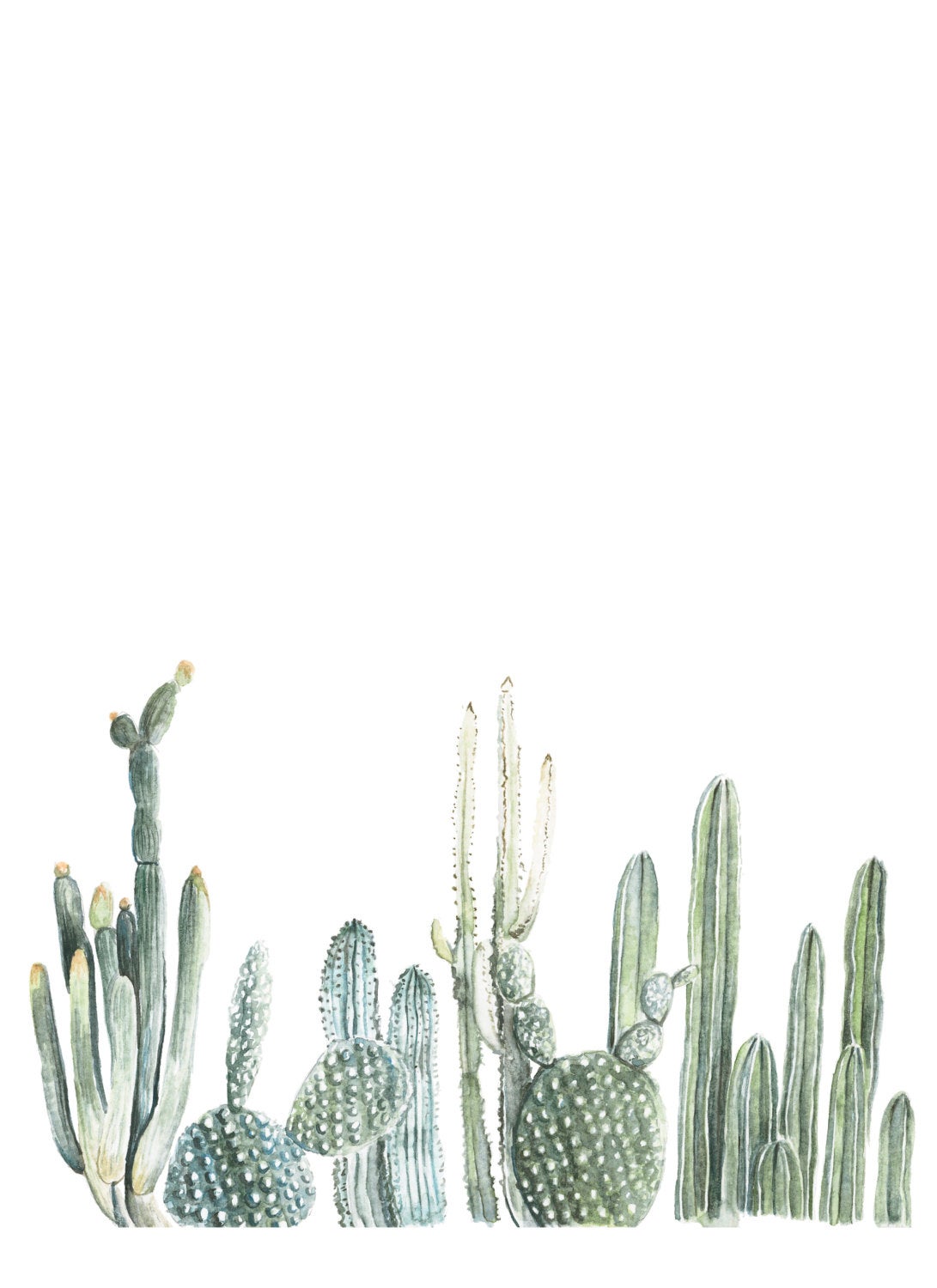 carta da parati cactus dell'acquerello,cactus,saguaro,pianta,fiore,caryophyllales