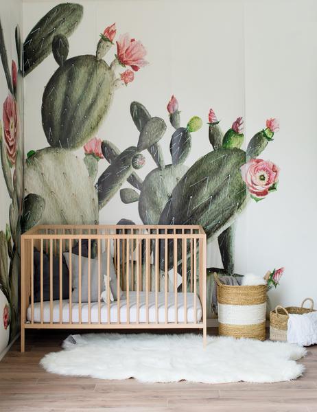 papel pintado de cactus para paredes,cactus,planta,habitación,mural,flor