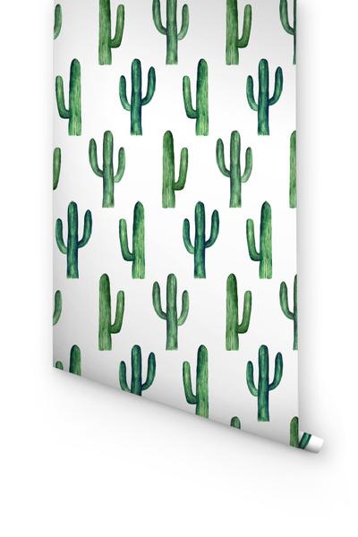 Tropical Cactus- WallpaperUse