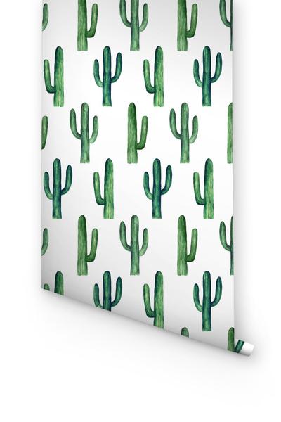 papel pintado de cactus para paredes,verde,texto,turquesa,fuente,modelo