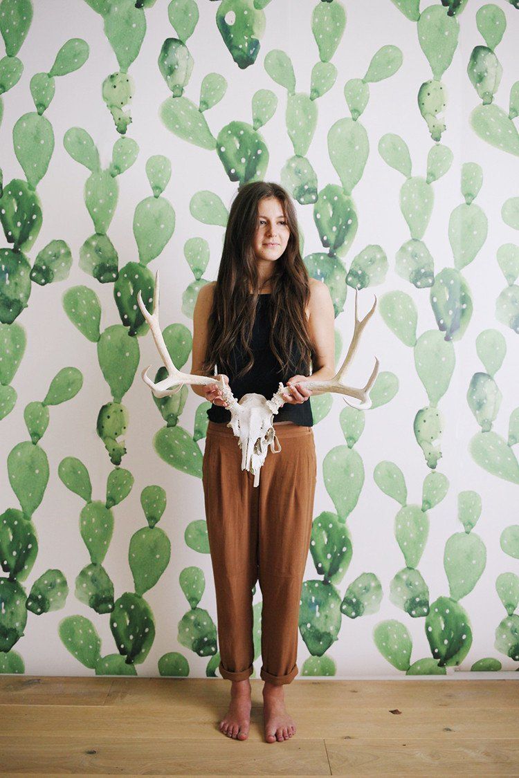 papier peint cactus pour murs,vert,marron,plante,arbre,textile