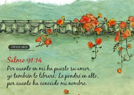 fondo de pantalla biblico,texto,fuente,planta,flor,ilustración