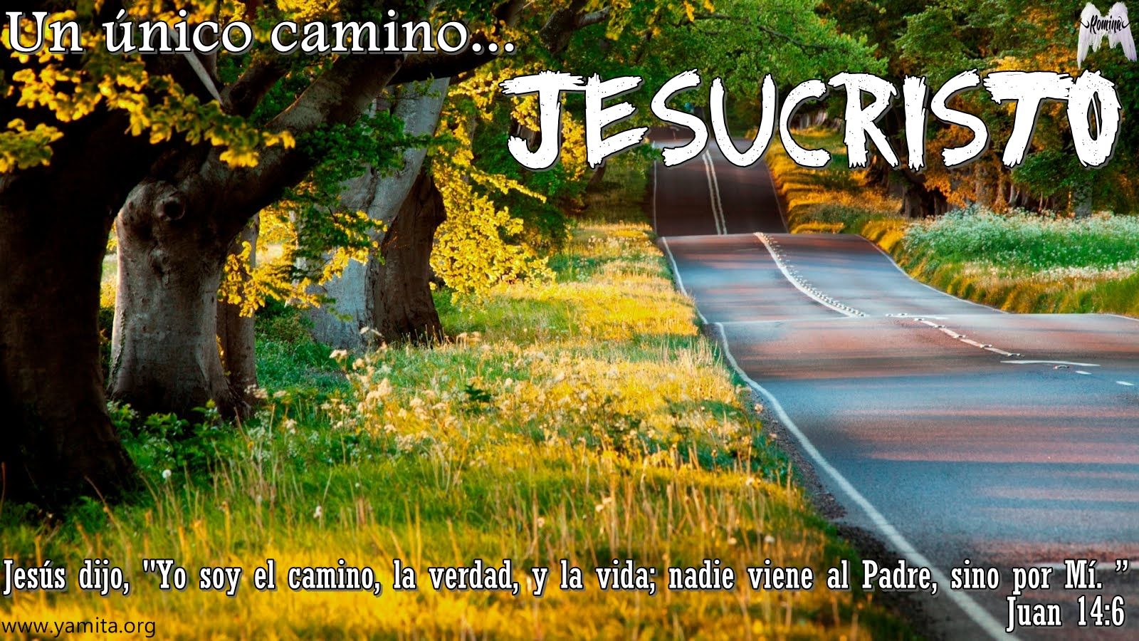 fondo de pantalla biblico,paisaje natural,naturaleza,mañana,árbol,césped