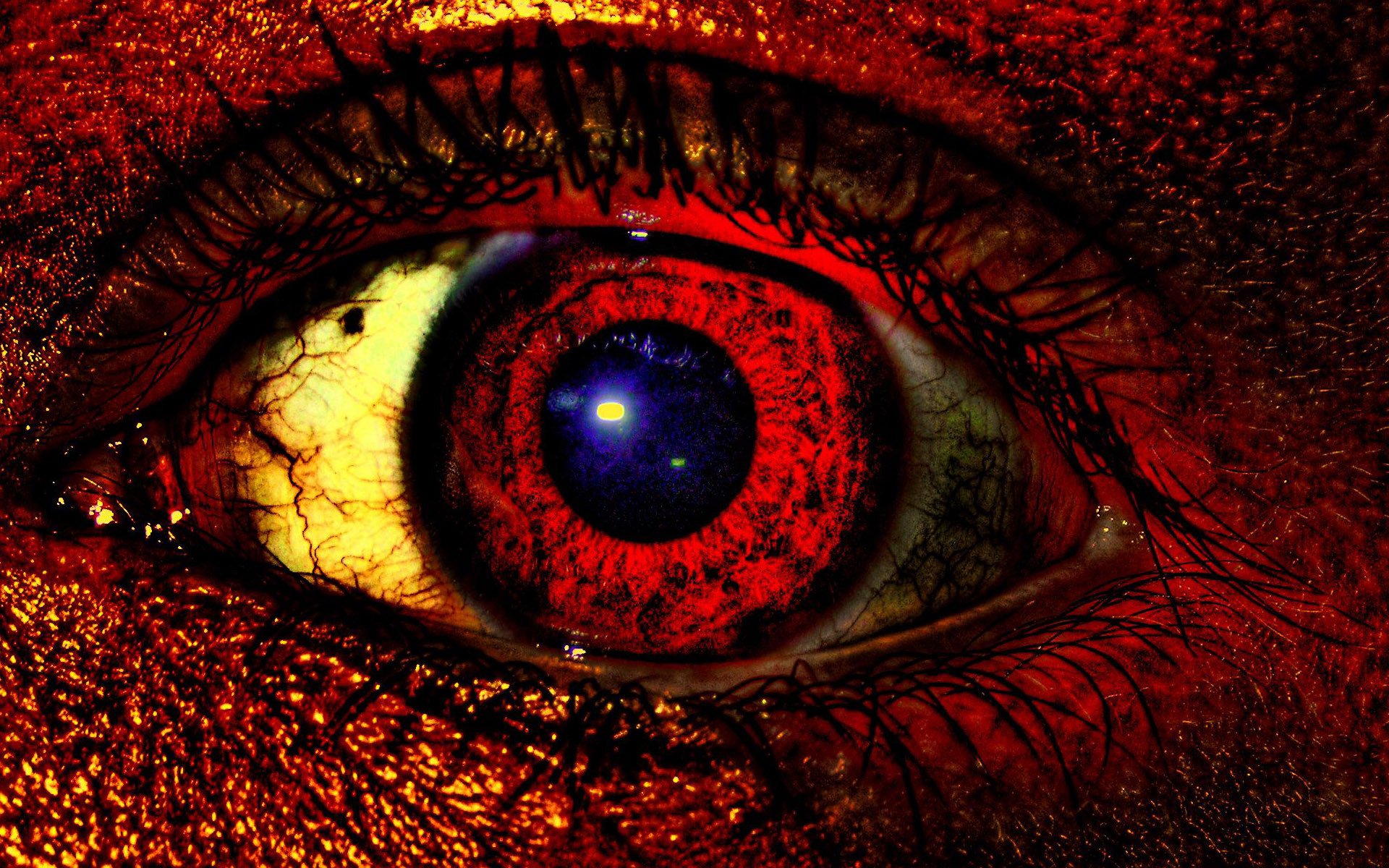 fondo de pantalla de ojos rojos,ojo,iris,de cerca,rojo,colorido