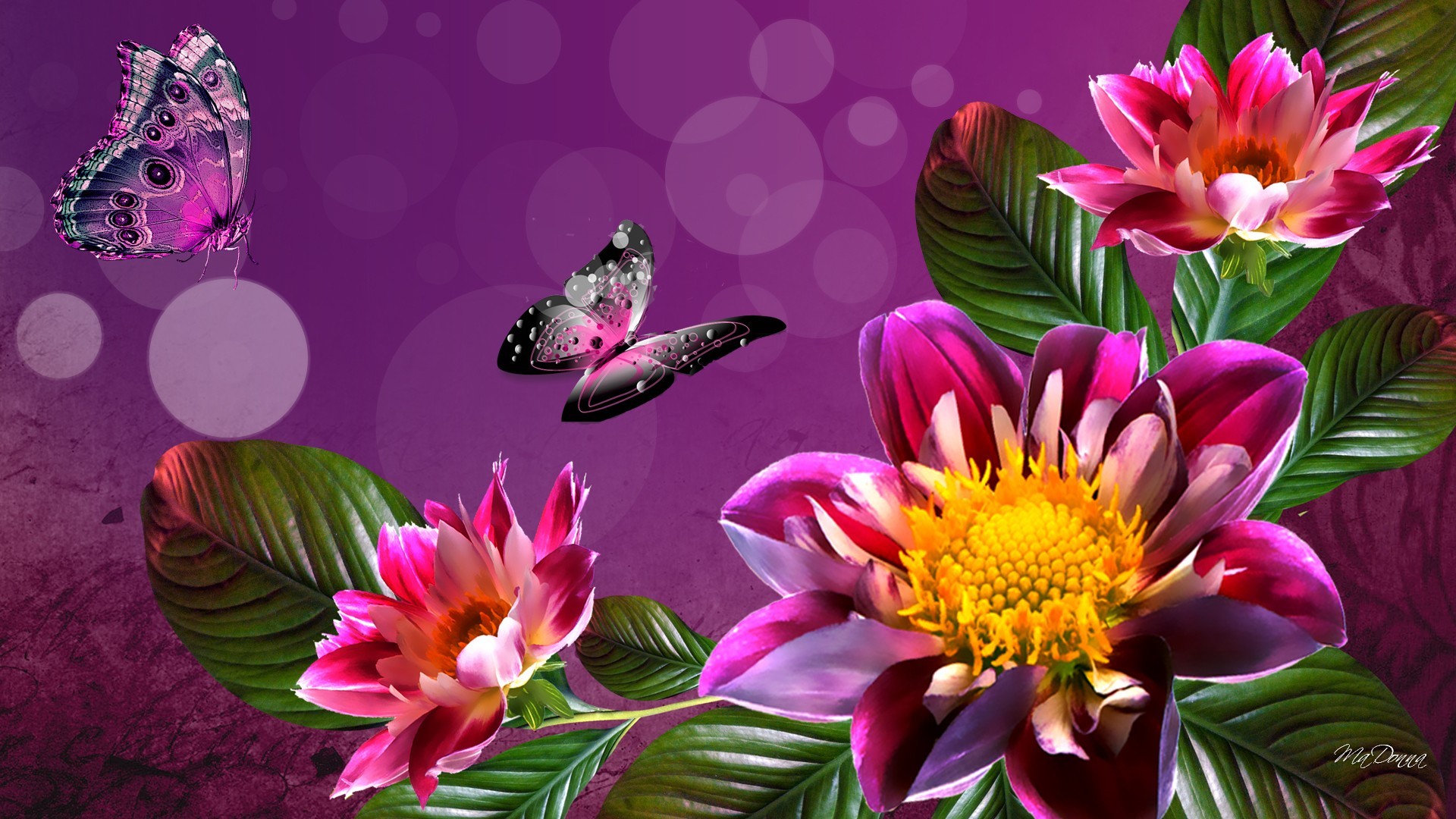spring flowers desktop wallpaper,flower,nature,petal,pink,plant