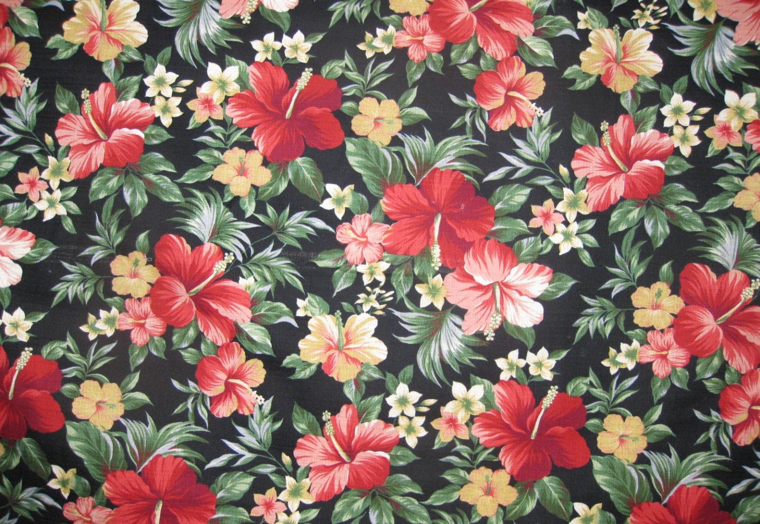 hawaiian flower wallpaper,flower,flowering plant,red,plant,petal