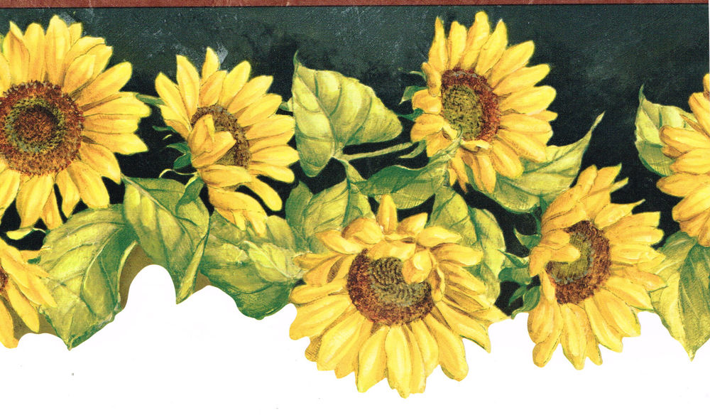 sunflower wallpaper border,flower,sunflower,flowering plant,yellow,sunflower