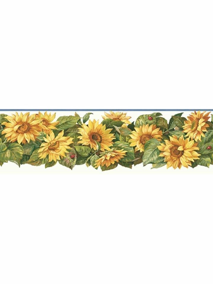 borde de papel tapiz de girasol,amarillo,flor,planta,girasol,gerbera