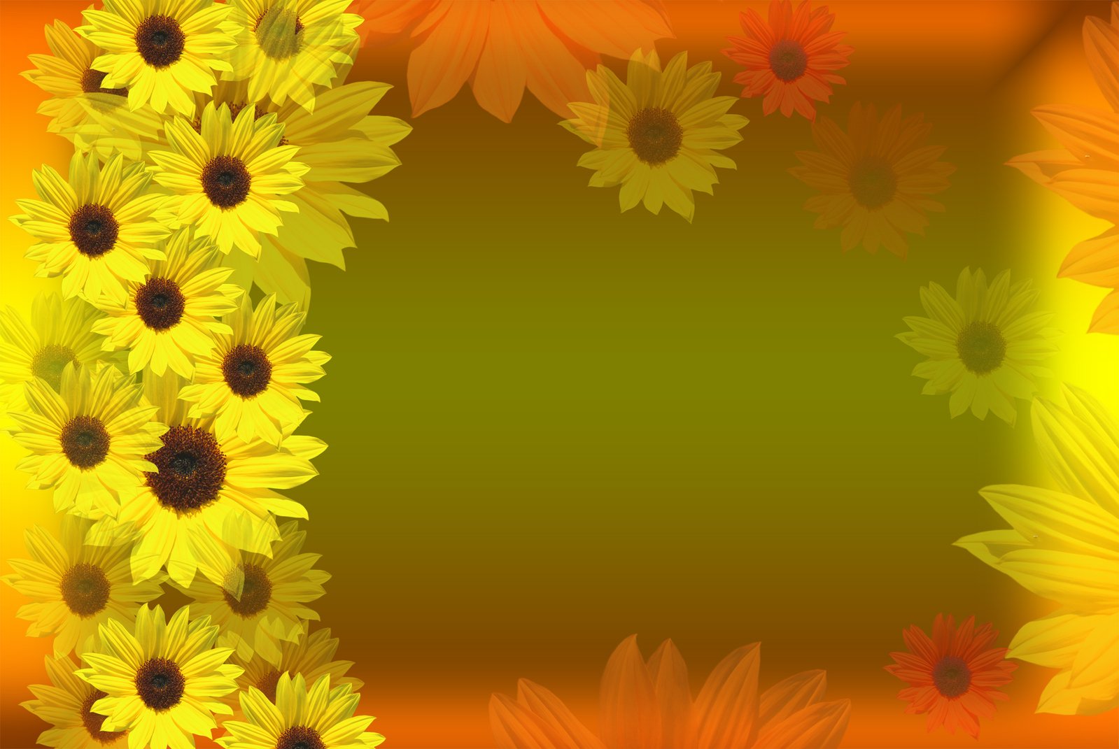 bordure de papier peint tournesol,tournesol,jaune,fleur,tournesol,plante