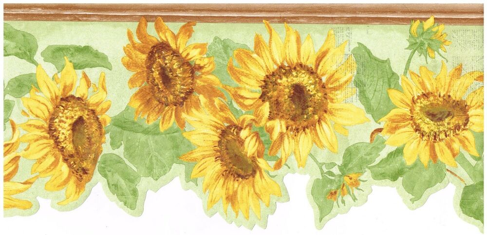 bordure de papier peint tournesol,tournesol,fleur,tournesol,jaune,plante