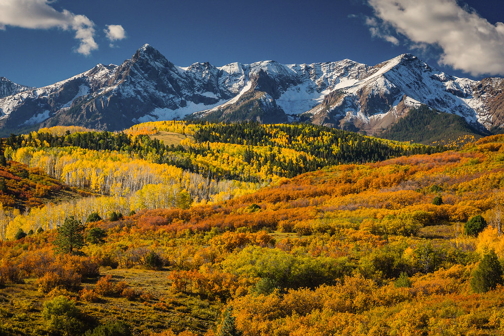 aspen wallpaper,mountainous landforms,mountain,natural landscape,nature,larix lyalliisubalpine larch