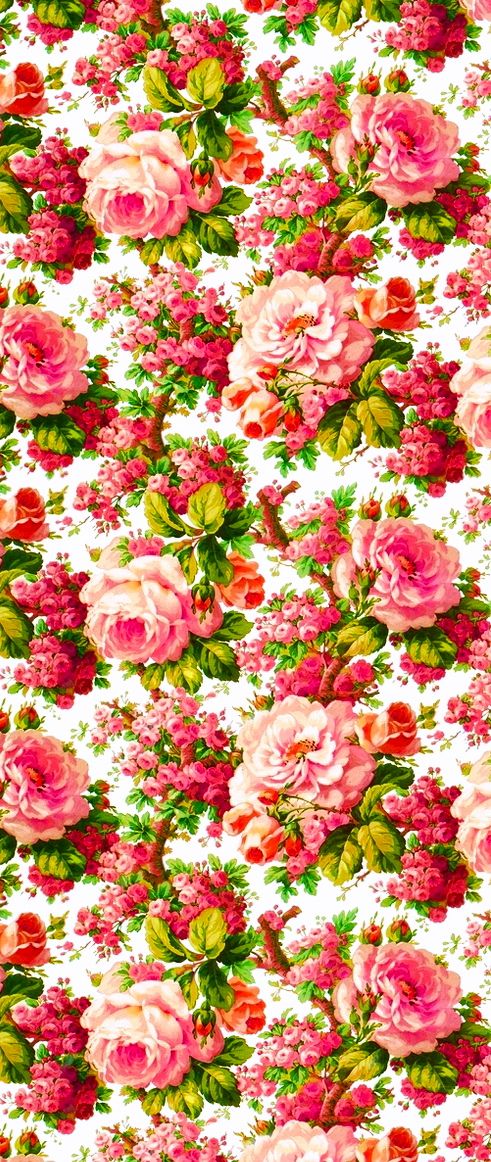 장미 패턴 벽지,꽃,정원 장미,분홍,장미,식물