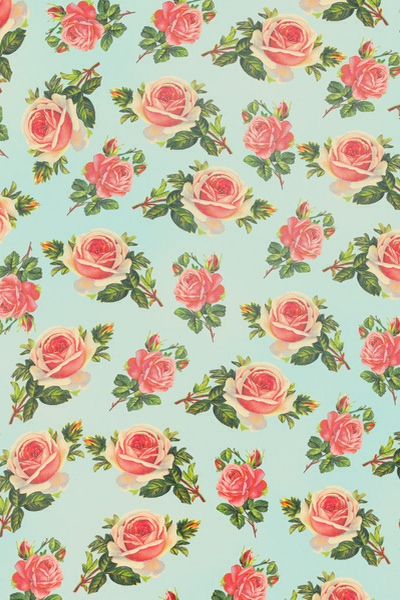 rose print wallpaper,pink,green,pattern,wrapping paper,botany