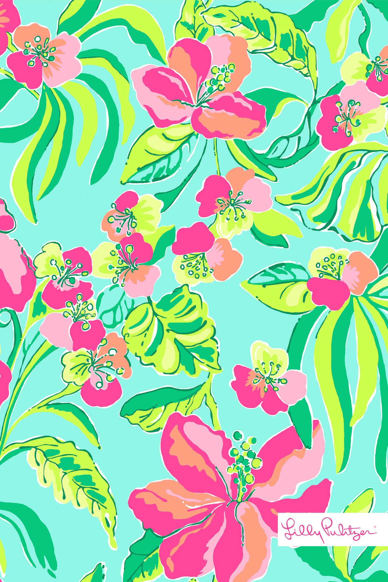 릴리 퓰리처 아이폰 배경 화면,무늬,디자인,꽃,식물,포장지