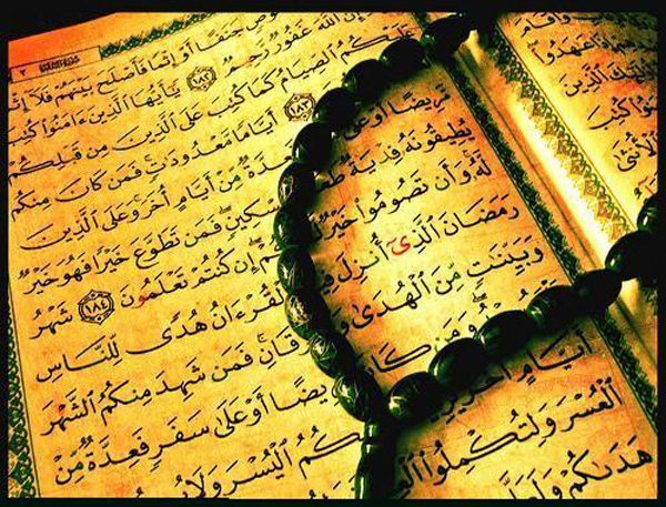 imo wallpaper,handwriting,text,writing,calligraphy,font (#555994