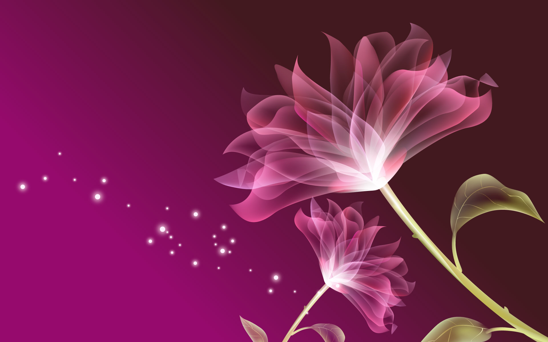rosa fondo de pantalla 3d,rosado,pétalo,flor,planta,violeta