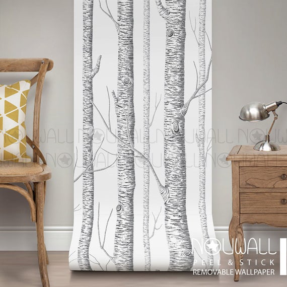 birch tree peel and stick wallpaper,curtain,window treatment,interior