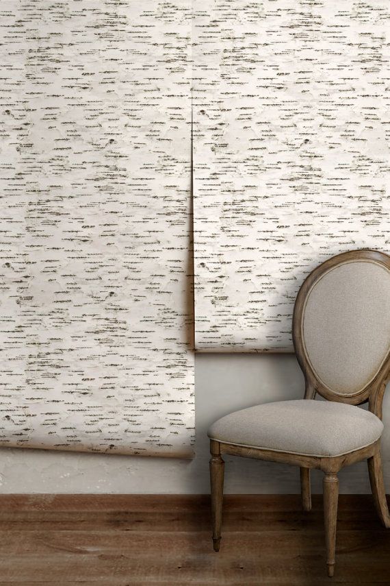 白樺の木の皮と棒の壁紙,壁,家具,床,椅子,ルーム