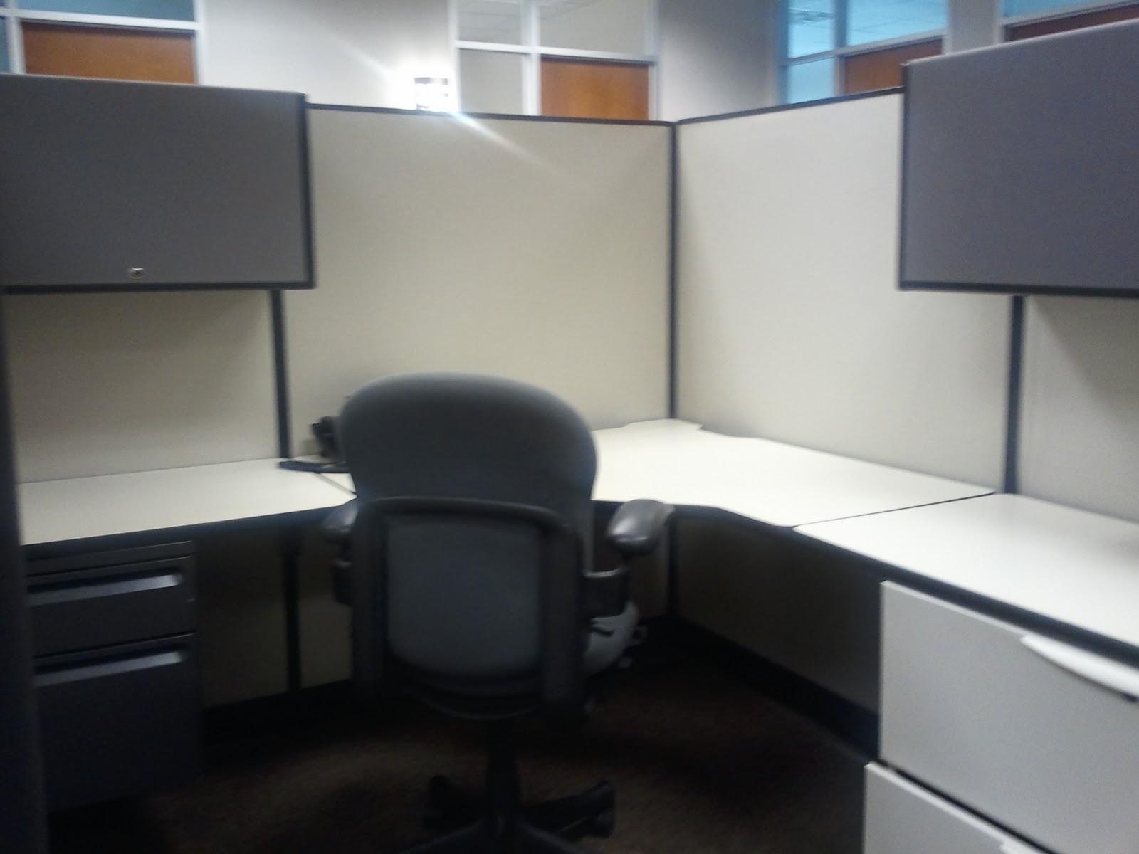 where to buy cubicle wallpaper,property,office,furniture,room,building